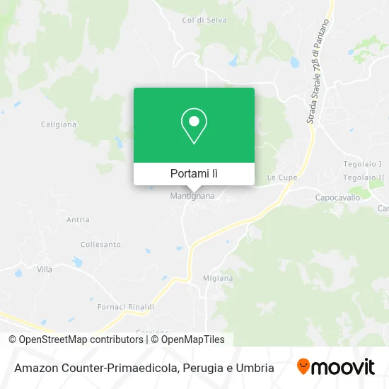 Mappa Amazon Counter-Primaedicola