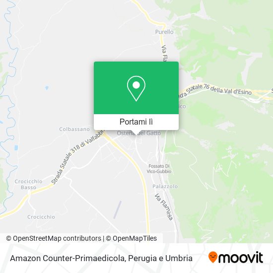 Mappa Amazon Counter-Primaedicola