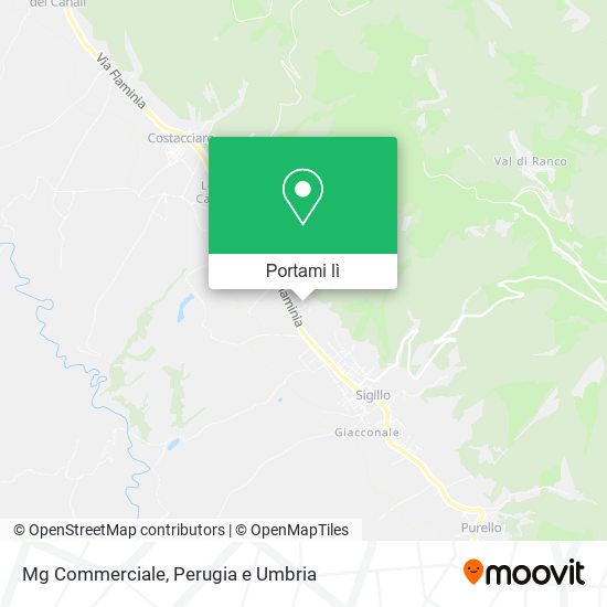Mappa Mg Commerciale