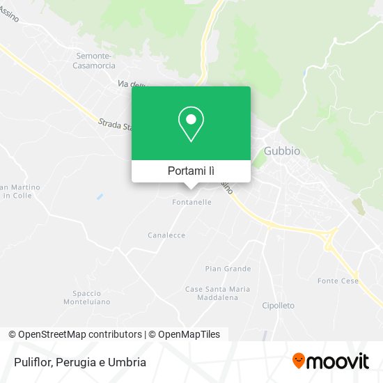 Mappa Puliflor