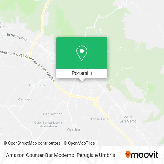 Mappa Amazon Counter-Bar Moderno