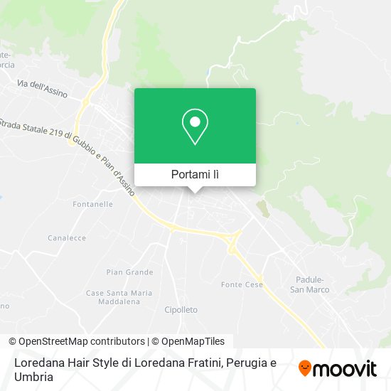 Mappa Loredana Hair Style di Loredana Fratini