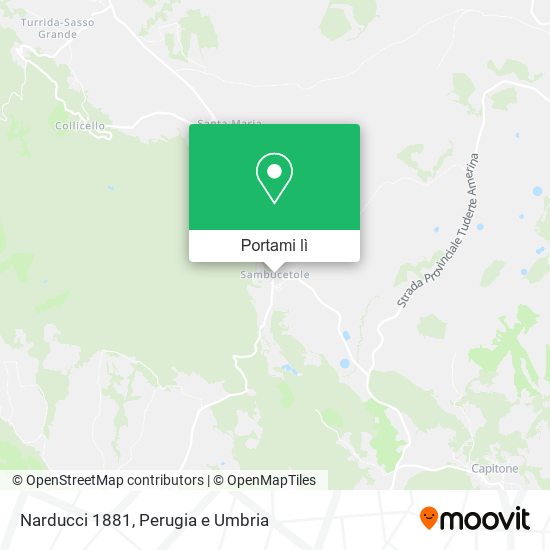 Mappa Narducci 1881