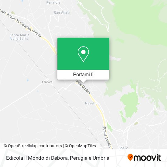 Mappa Edicola il Mondo di Debora