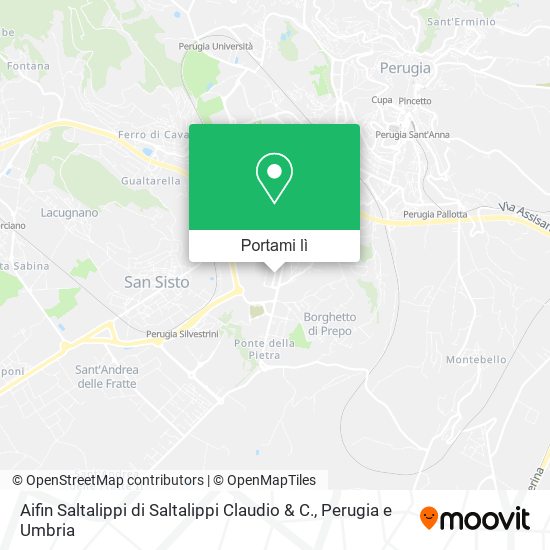 Mappa Aifin Saltalippi di Saltalippi Claudio & C.