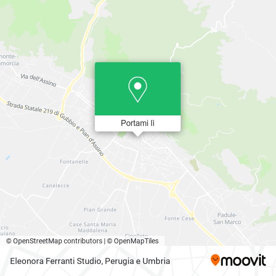 Mappa Eleonora Ferranti Studio