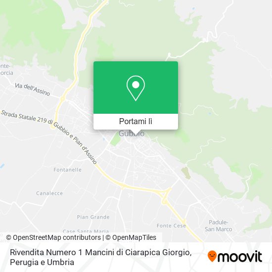 Mappa Rivendita Numero 1 Mancini di Ciarapica Giorgio
