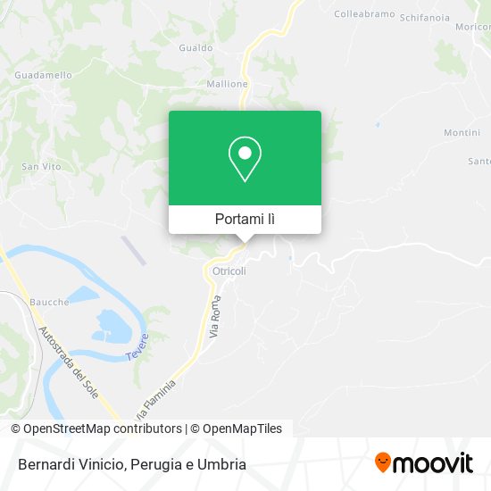 Mappa Bernardi Vinicio