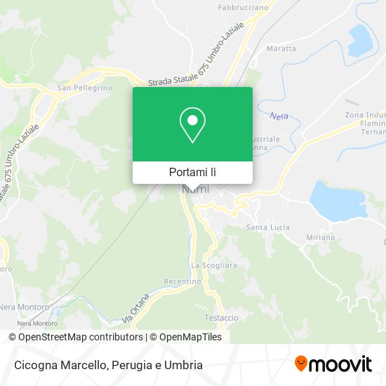 Mappa Cicogna Marcello