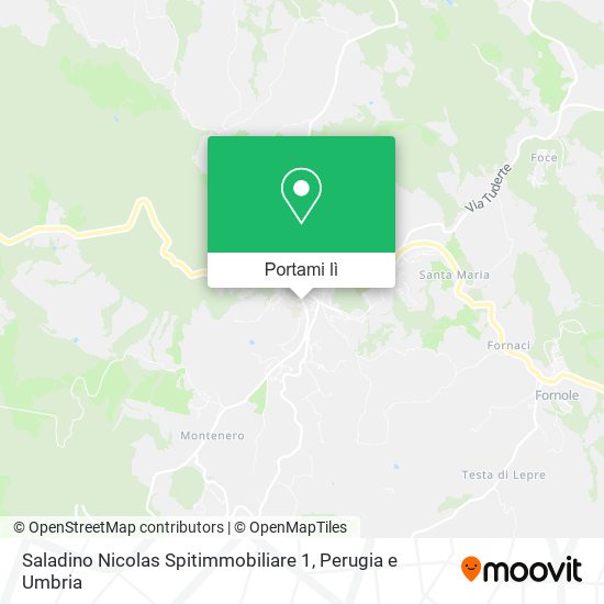 Mappa Saladino Nicolas Spitimmobiliare 1