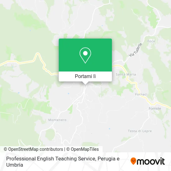 Mappa Professional English Teaching Service
