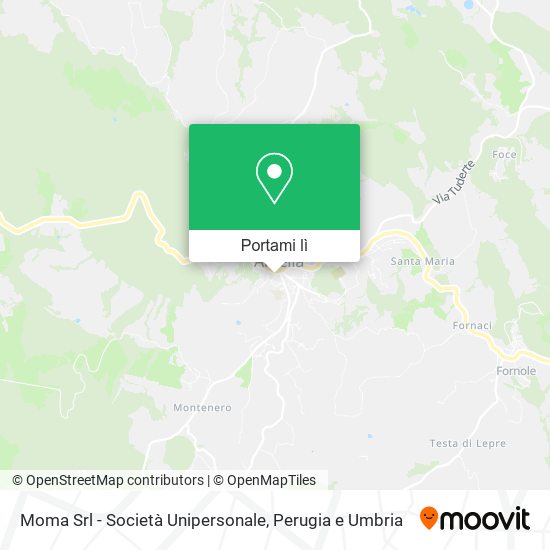 Mappa Moma Srl - Società Unipersonale