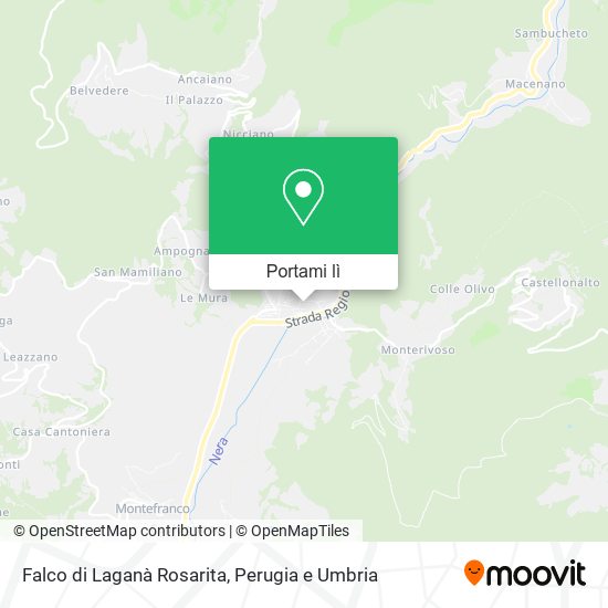 Mappa Falco di Laganà Rosarita