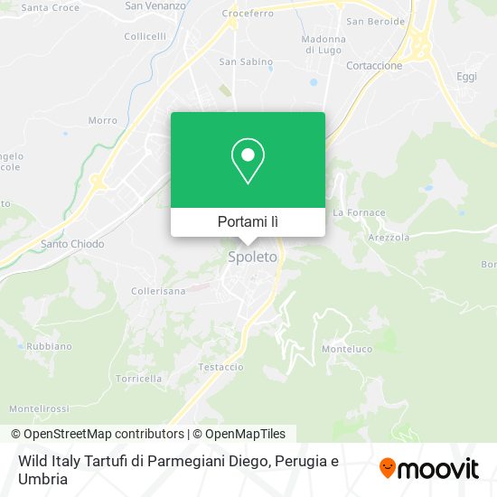 Mappa Wild Italy Tartufi di Parmegiani Diego