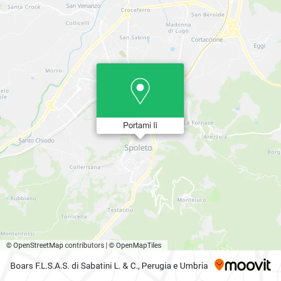 Mappa Boars F.L.S.A.S. di Sabatini L. & C.