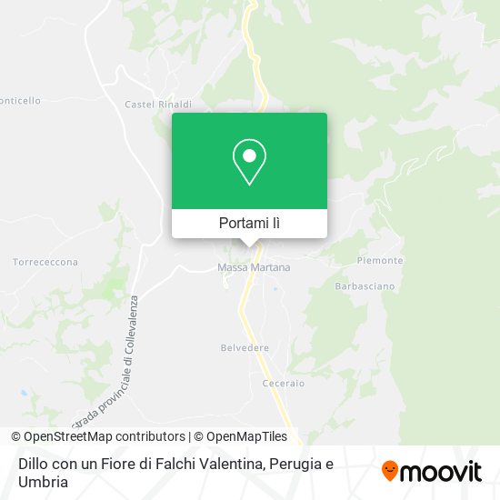 Mappa Dillo con un Fiore di Falchi Valentina