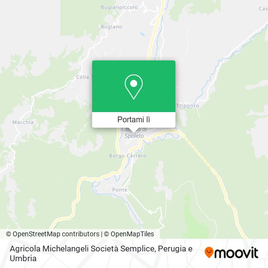 Mappa Agricola Michelangeli Società Semplice