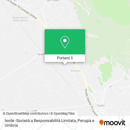 Mappa Iesile -Società a Responsabilità Limitata
