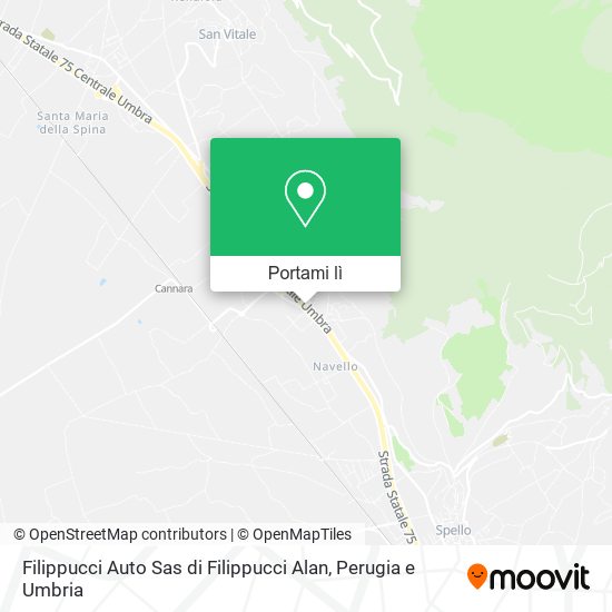 Mappa Filippucci Auto Sas di Filippucci Alan