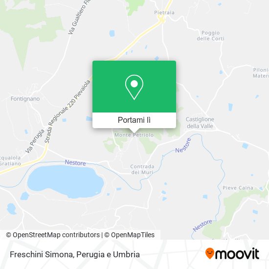 Mappa Freschini Simona