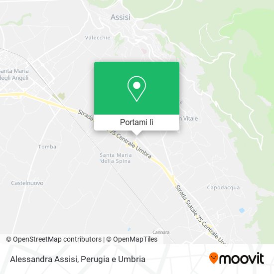 Mappa Alessandra Assisi