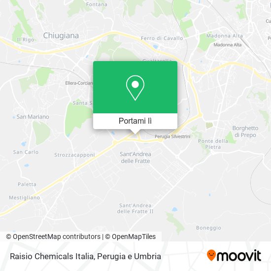 Mappa Raisio Chemicals Italia