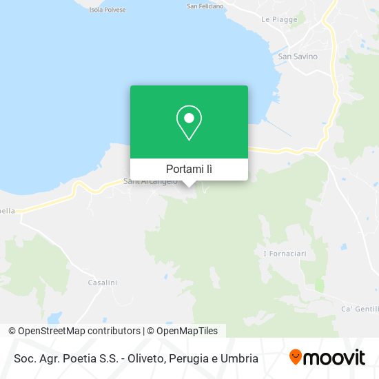 Mappa Soc. Agr. Poetia S.S. - Oliveto