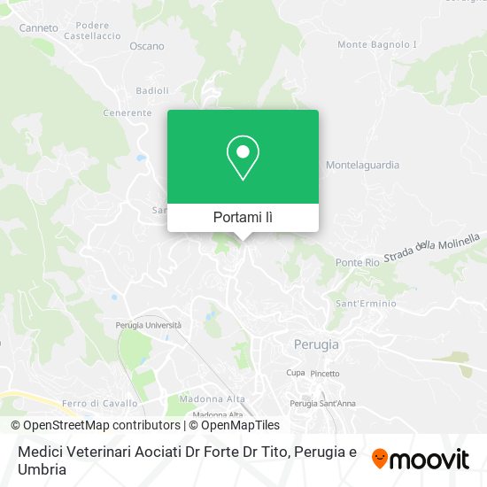 Mappa Medici Veterinari Aociati Dr Forte Dr Tito