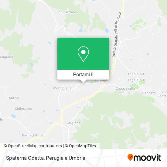 Mappa Spaterna Odetta