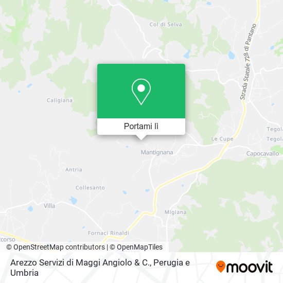 Mappa Arezzo Servizi di Maggi Angiolo & C.