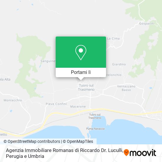 Mappa Agenzia Immobiliare Romanas di Riccardo Dr. Luculli
