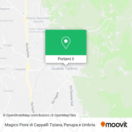 Mappa Magico Fiore di Cappelli Tiziana