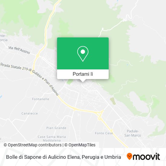 Mappa Bolle di Sapone di Aulicino Elena