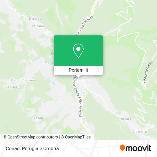 Mappa Conad