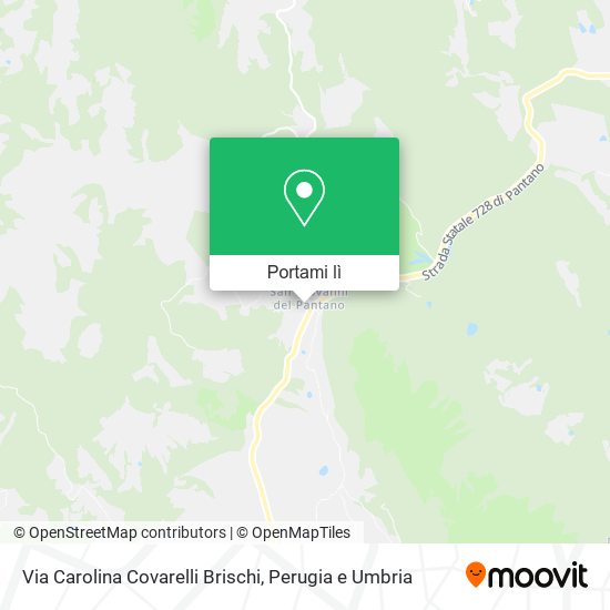Mappa Via Carolina Covarelli Brischi
