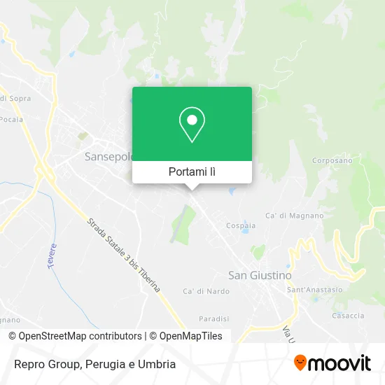 Mappa Repro Group