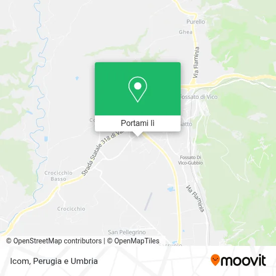 Mappa Icom