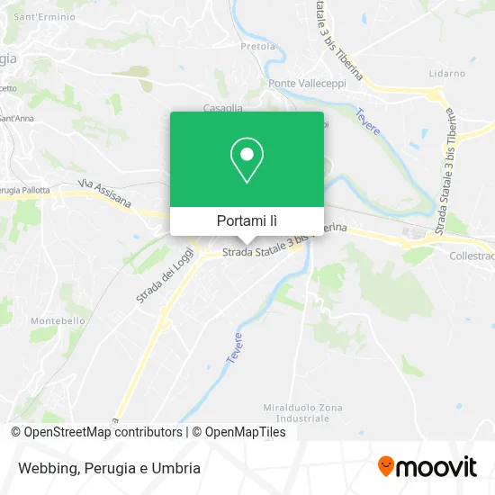 Mappa Webbing