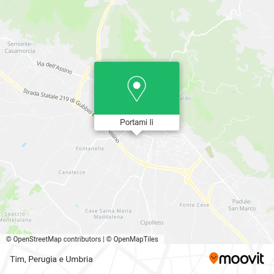 Mappa Tim