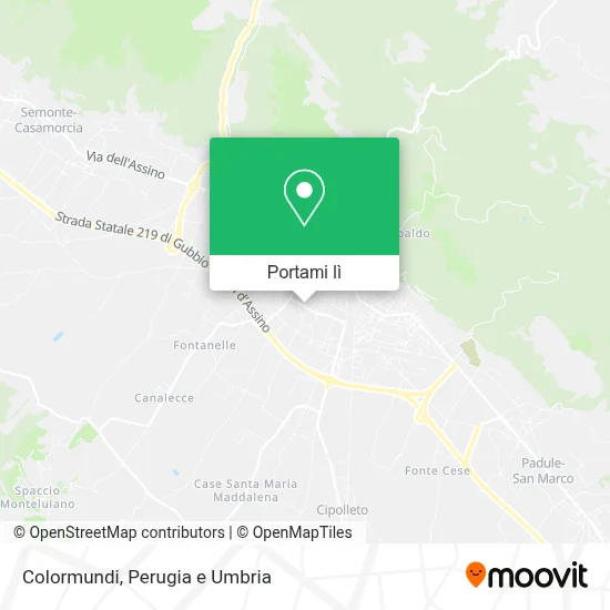 Mappa Colormundi