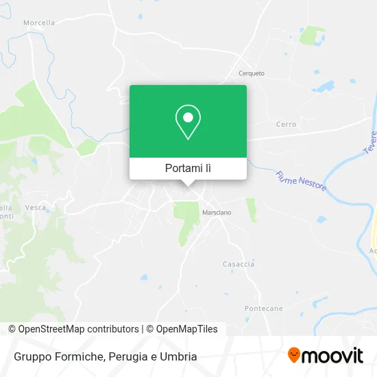 Mappa Gruppo Formiche