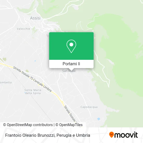 Mappa Frantoio Oleario Brunozzi