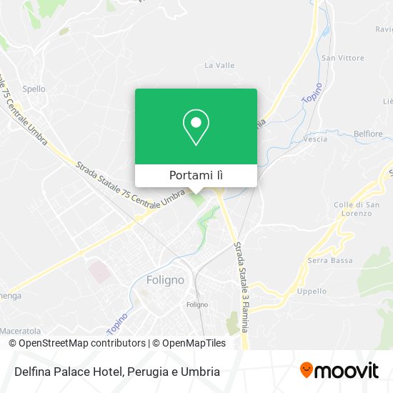 Mappa Delfina Palace Hotel