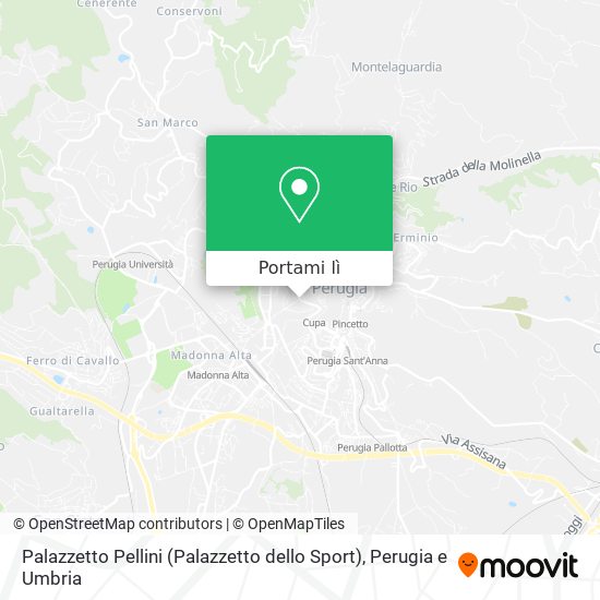Mappa Palazzetto Pellini (Palazzetto dello Sport)