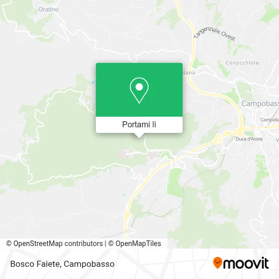 Mappa Bosco Faiete