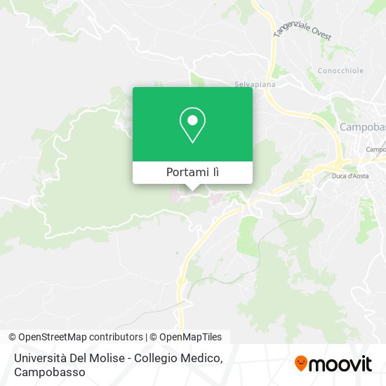 Mappa Università Del Molise - Collegio Medico