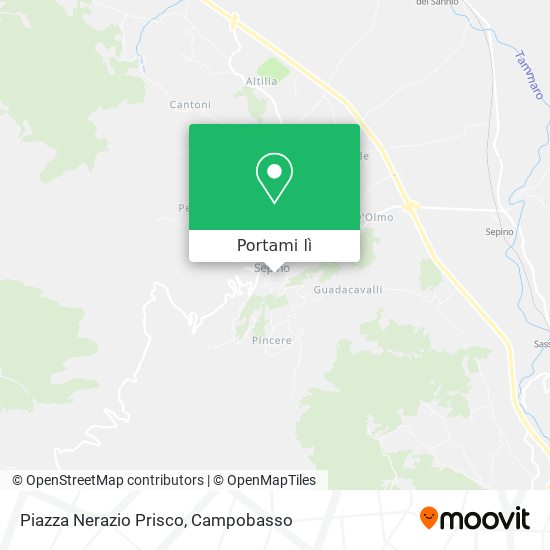 Mappa Piazza Nerazio Prisco