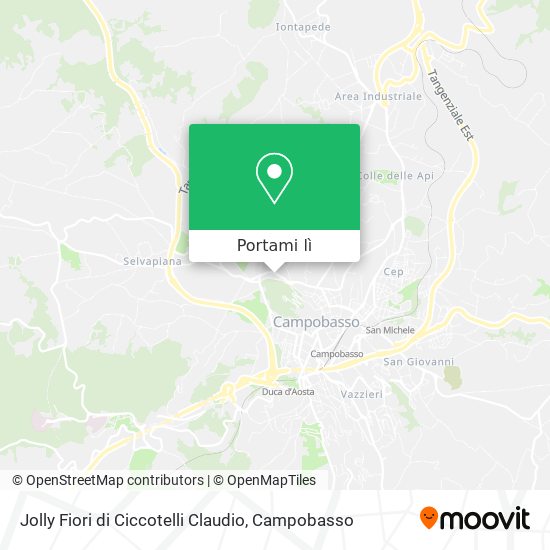 Mappa Jolly Fiori di Ciccotelli Claudio