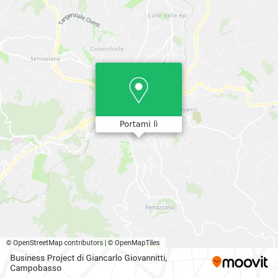 Mappa Business Project di Giancarlo Giovannitti