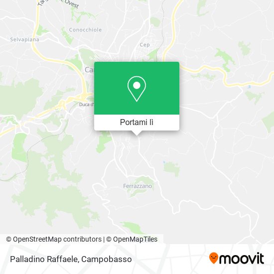 Mappa Palladino Raffaele